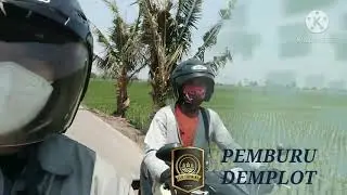 Semangat Demplot dengan Pupuk Eco Farming