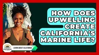 How Does Upwelling Create California's Marine Life? - Learn About California