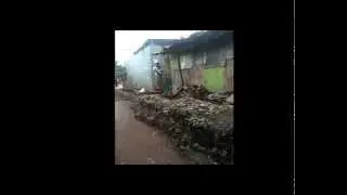 OLIVERS STORY