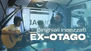 Ex-Otago - Cinghiali incazzati (live @ POLI.RADIO)