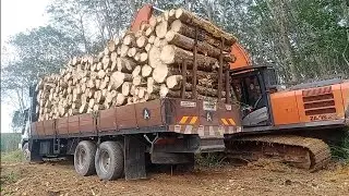 Excavator Hitachi Zaxis200 Isi Log Kayu Getah | Lori Cargo Malaysia