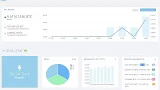 6000$ на облачный майнинг Hashflare. SHA-256. 50TH/s