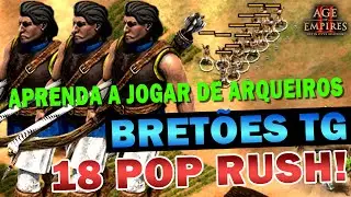 A Estratégia INSANA de Arqueiros Bretões Que Vai te Deixar Louco! | Age of Empires 2