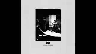 timmy holiday // cut