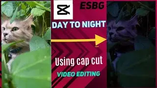 How to change day to night effect in cap cut.@ABDs-ESBG