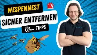 Wespennest effektiv & sicher entfernen in 3 Minuten! 👈 Selber machen oder Profi fragen? 🆘