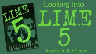 Lime 5: Injuries to the Cervix