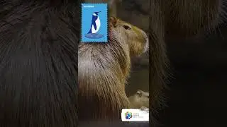 Des souvenirs &agrave; collectionner au Biod&ocirc;me d'Espace pour la vie