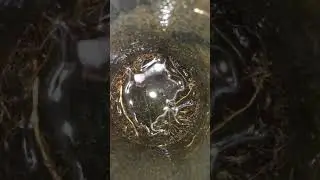 Partially blocked down pipe Out of the Gutter