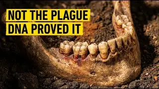 The Plague of Athens Was Misdiagnosed for 2400 Years