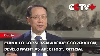 China to Boost Asia-Pacific Cooperation, Development as APEC Host: Official