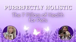 The 7 Pillars of Health for Pets with Dr. Odette Suter