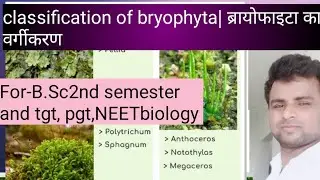 classification of bryophyta|| ब्रायोफाइटा का वर्गीकरण ||@om bio study zone ||by-R.k sir ||botany