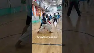 TAEKWONDO FORWARD STANCE #forwardstance #taekwondotraining #bluebelt #martialarts