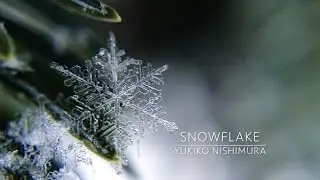 Snowflake for string orchestra / Yukiko Nishimura