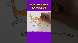Drawing and Colouring for Kids - Unlocking Creativity and Fun - Kangaroo #shorts #drawing