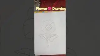 Easy Flower by Pencil ll easy pencil drawing #art #flowers #shorts