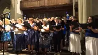 OCS Summer 2014 - I believe I can Fly