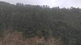 heavy snowfall in kanataal