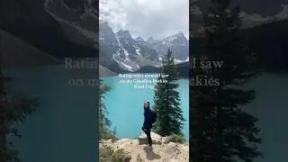 Canadian Rockies Animal Sightings🐻