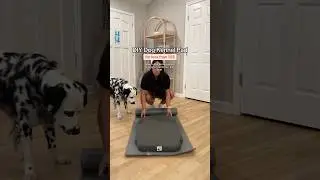 Сделай сам: коврик для собачьей будки менее чем за 10$!!! #Собака #Собаки