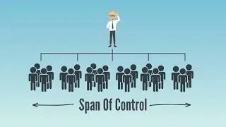 Span Of Control (Wide vs Narrow) | A-Level Business