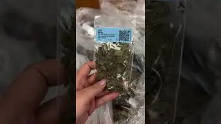 Kamwo Herb Sample Kits
