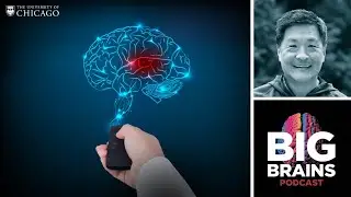 Can You Improve Your Working Memory and Attention? with Edward Awh