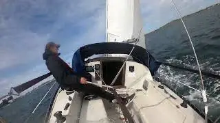 Albin 79 solo sailing