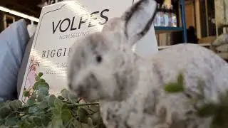 New Volpes, The Home of Linen, opening at Woodmead Retail Park