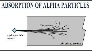 Alpha particle absorption.