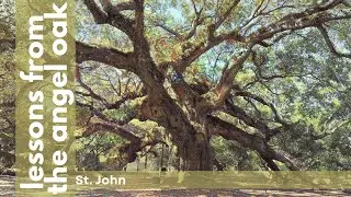 Lessons from The Angel Oak: St. John