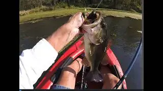 Gant Outdoors. Fishing Wisconsin River slough Pt.2.  Sauk County, WI