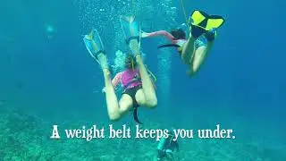 Snuba at Molokini Crater and Turtle Town Snorkle - Maui, Hawaii