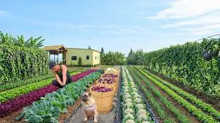 Harvest, Sell, Cook: Black Yam, Passion Fruit, Climbing Beans &ndash; The Chairman Leaves The City To Farm