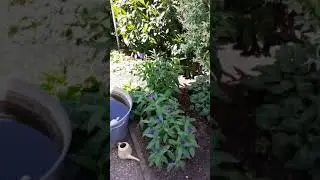 Willkommen in Loeser 's  Garten