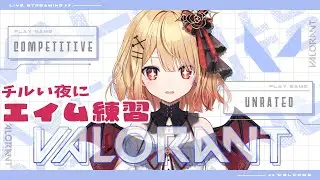 【#ゲーム実況 ┊#valorant 】part1┊エイム練習と画面設定【#新人vtuber / #燈華るき 】