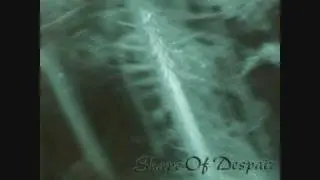 Shape of Despair - Sylvan Night Part 1