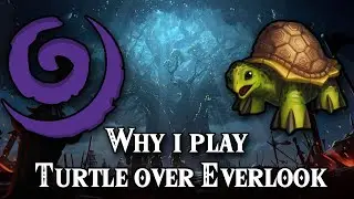 Why I Play Turtle Over Everlook  (Stream Clip)