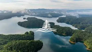 Shenandoah at Carters Lake | North Georgia Mountain Sale
