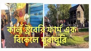 কার্ল স্ট্রবেরি ফার্ম এক বিকেলে ঘুরাঘুরি