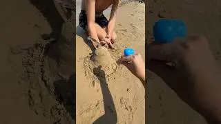 PUPPIES DESTROYS MAN&rsquo;S SAND CASTLE