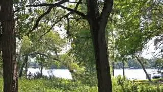 630 Locust Hills Drive. View 4