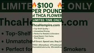 Bulk Wholesale Cheap $100 lb Jack Herer Thca Flower @ ThcaHempire.com