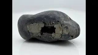 Natural Pradhyumna Shaligram Fossil salagrama For Pooja Small Size (Max: 5 CM) SHALIGRAM45