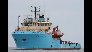 MAERSK DON  - IMO 9198068