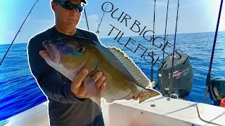 We caught our BIGGEST BLUELINE TILEFISH EVER!