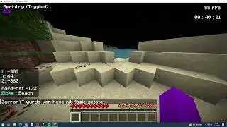 Das speedrun gegen meinen cousen