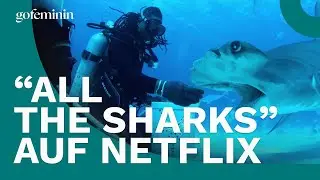 &bdquo;All the Sharks&ldquo;: Was steckt hinter der neuen Reality-Show?