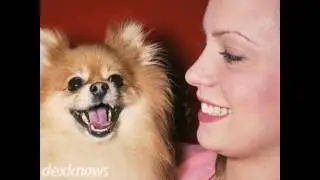 West Seattle Animal Hospital Seattle WA 98116-4552